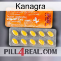 Kanagra new05